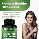 fablab-bovine-collagen-type-i-supplement-3.jpg