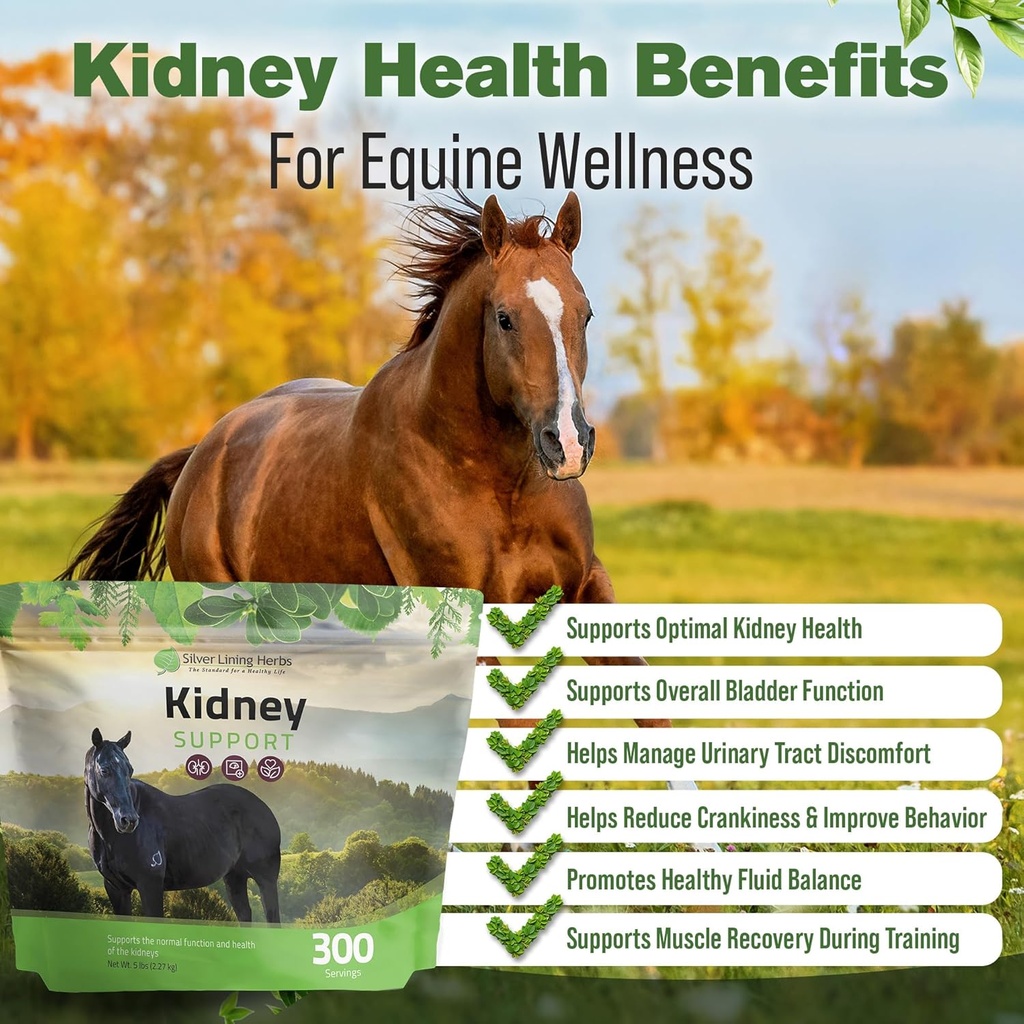 silver-lining-herbs-kidney-support-suppl-2.jpg