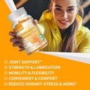 glucosamine-chondroitin-gummies-with-msm-4.jpg