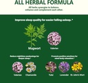 mugwort-herb-liquid-drops-for-sleep-supp-4.jpg