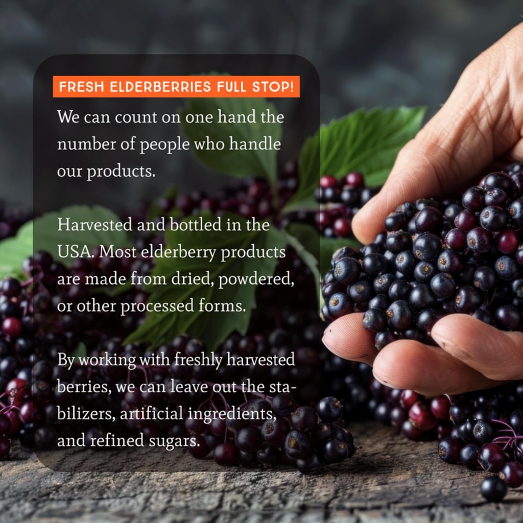 dr-appleseeds-organic-elderberry-extract-5.jpg