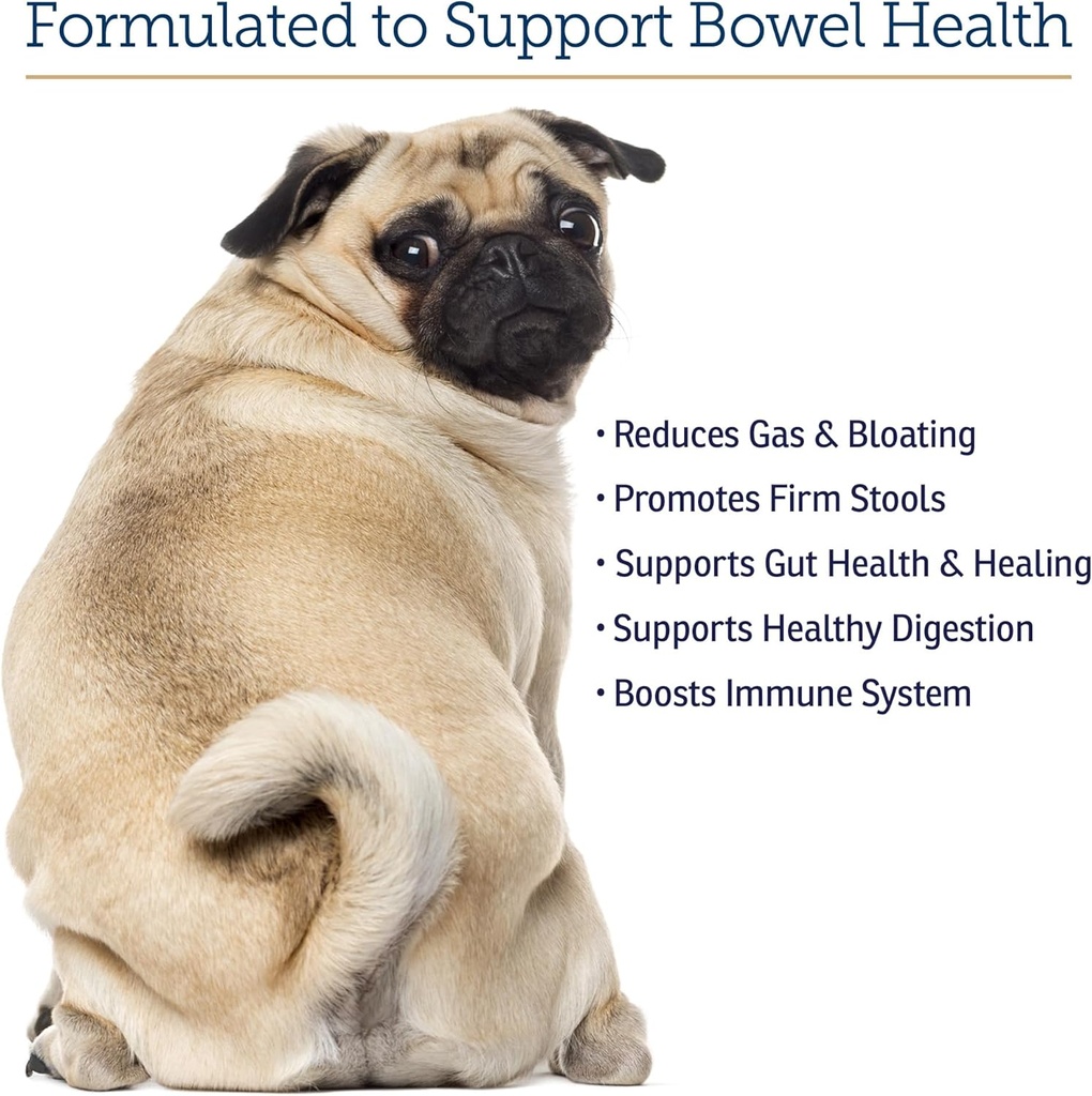 rx-vitamins-nutrigest---dog-probiotics-f-4.jpg