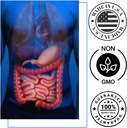 bowel-zone-supports-bowel-movement-5.jpg