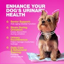 dog-uti-treatment---dog-cranberry-supple-4.jpg