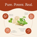 real-mushrooms-realclarity-60ct-and-5-de-4.jpg