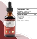 active-ginseng-korean-red-panax-ginseng--6.jpg