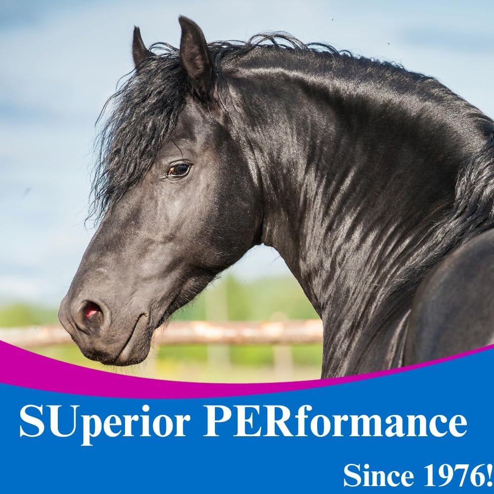 su-per-dmg-3000-horse-supplement---train-6.jpg