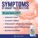 welmate---urinary-pain-relief-72-tablets-2.jpg