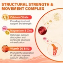 calcium-magnesium-zinc-supplement-gummie-3.jpg