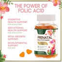prenatal-vitamins-for-women-with-dha-fol-6.jpg
