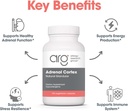 allergy-research-group-adrenal-cortex-su-4.jpg