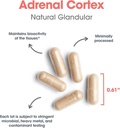 allergy-research-group-adrenal-cortex-su-5.jpg