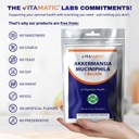 vitamatic-akkermansia-muciniphila-gut-he-6.jpg