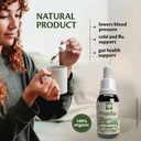 beelife-organic-brazilian-green-propolis-3.jpg