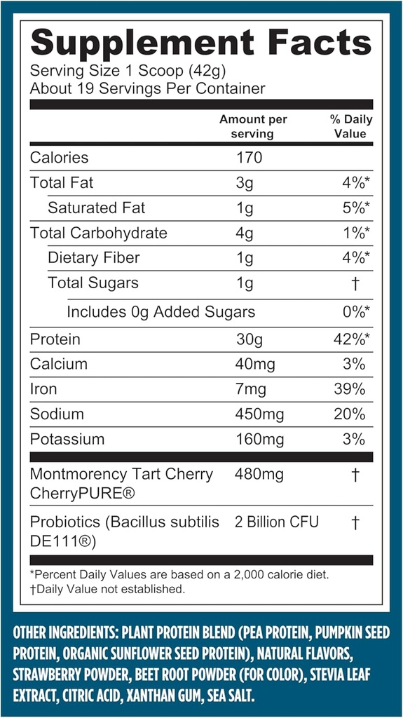 vega-sport-vegan-protein-powder-recovery-3.jpg