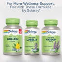 solaray-mullein-leaf-330-mg---soothing-h-6.jpg