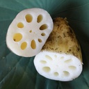 lotus-root-powder-7oz200g-natural-100-pu-3.jpg