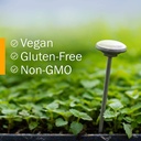 herb-pharm-jamaica-dogwood-liquid-extrac-5.jpg
