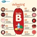 mega-we-care-nat-b-100-caphonest-succeed-6.jpg