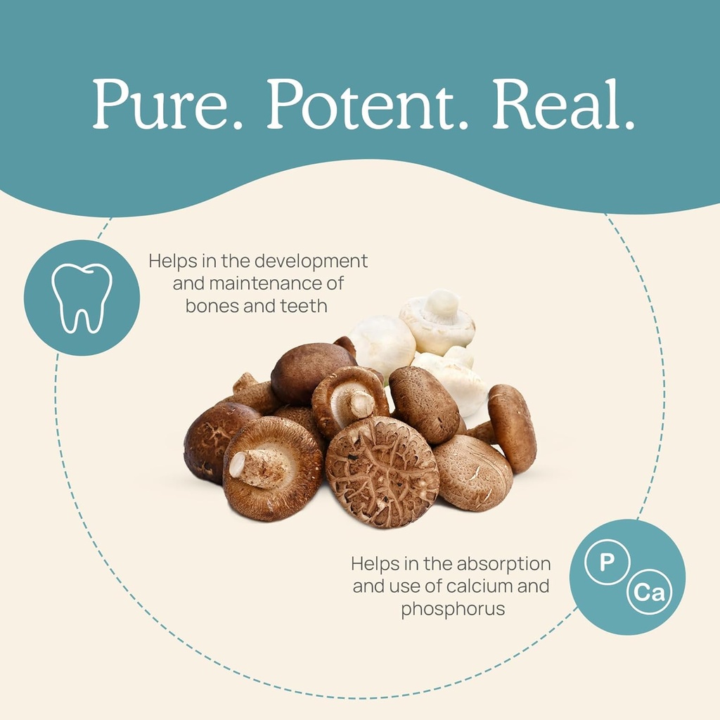 real-mushrooms-vitamin-d2-from-shiitake--4.jpg