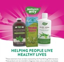 natures-way-works-swedish-bitters-tradit-6.jpg
