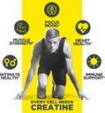 con-cret-creatine-hcl-powder-muscle-cogn-5.jpg