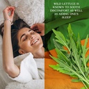 wild-lettuce-extract-california-poppy-se-4.jpg