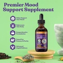rejuvica-health-zenapin-ir---advanced-mo-3.jpg