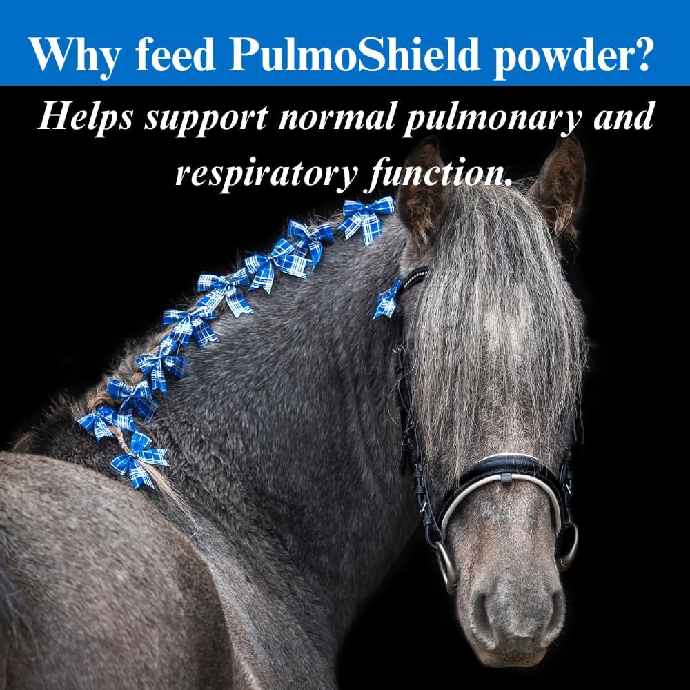 su-per-pulmoshield-horse-respiratory-sup-3.jpg