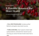 utzy-naturals-omega-3-fish-oil-60-softge-6.jpg