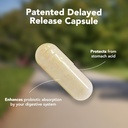 vitamin-bounty-pro-100-probiotic-100-bil-6.jpg
