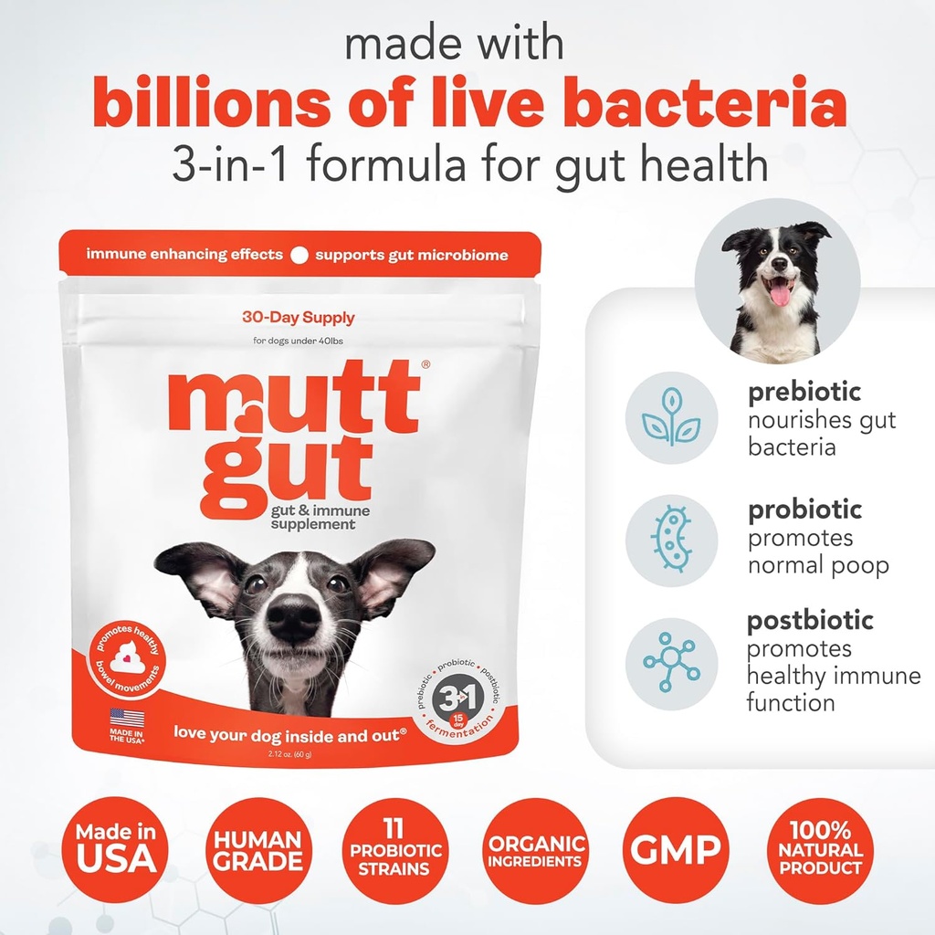 all-natural-3-in-1-dog-probiotic-prebiot-4.jpg