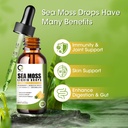 sea-moss-drops-2000mg-irish-sea-moss-sup-2.jpg