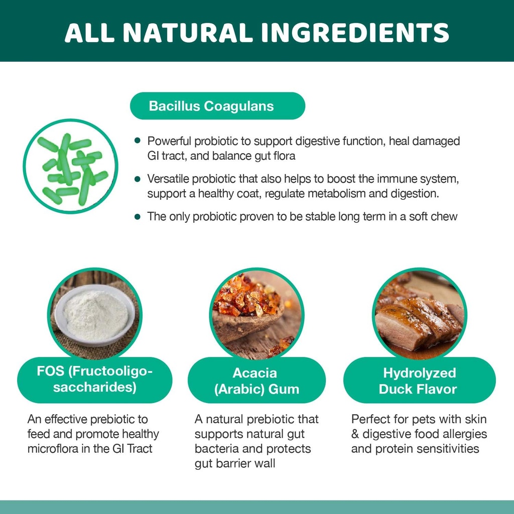wellnergy-daily-probiotic-prebiotics-sof-6.jpg