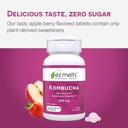ez-melts-dissolvable-sugar-free-kombucha-4.jpg