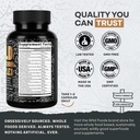 wild-foods-premium-mushroom-supplement-c-2.jpg