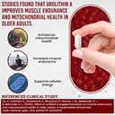 anti-aging-urolithin-a-supplement---pure-2.jpg