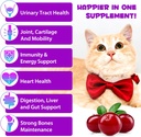 cat-multivitamin15-in-1-cat-vitamins-liq-6.jpg