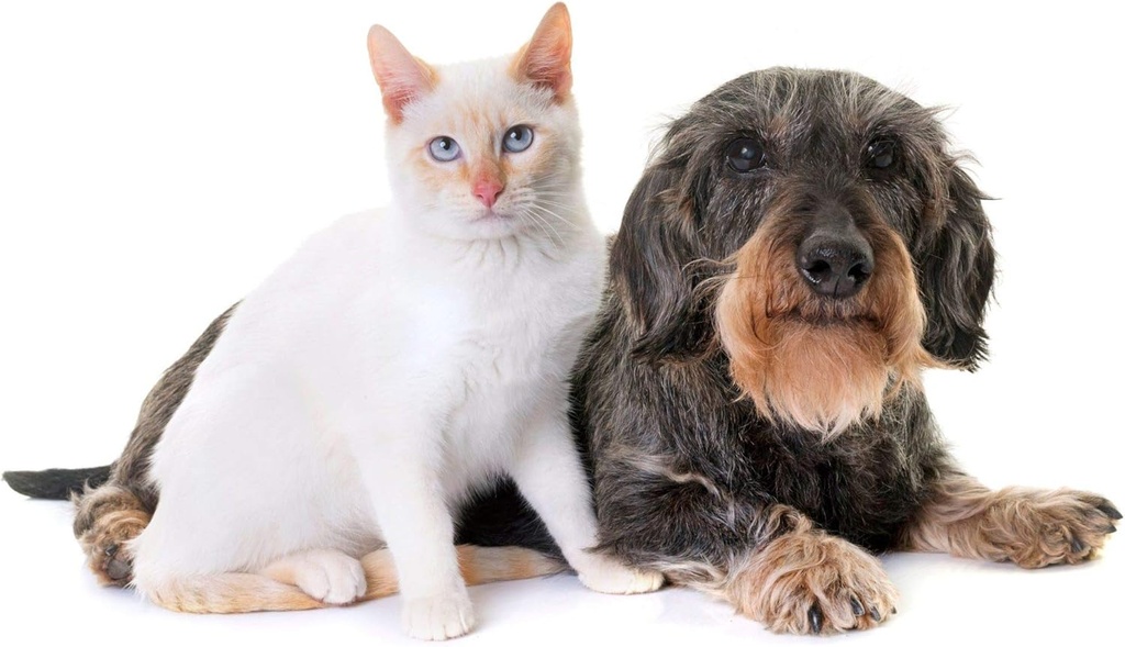 cat-urinary-health-supplement---pets-uri-3.jpg