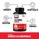 force-factor-irish-sea-moss-capsules-wit-2.jpg