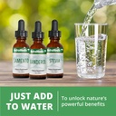 nutramedix-samento-cats-claw-tincture----6.jpg