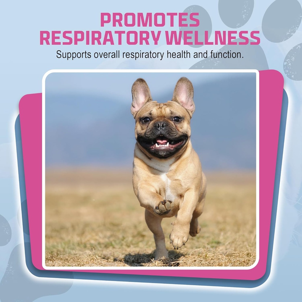 petsilver-immune-support-natural-nebuliz-5.jpg