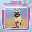 petsilver-immune-support-natural-nebuliz-5.jpg