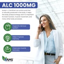 america-medic-science-acetyl-l-carnitine-4.jpg