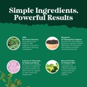 pure-dim-supplement-for-men-with-bioperi-4.jpg