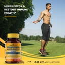 sandhu-herbals-andrographis-paniculata-k-5.jpg