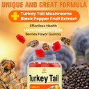 turkey-tail-mushroom-turkey-tail-100-fru-6.jpg