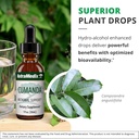 nutramedix-cumanda-liquid-immune-support-5.jpg
