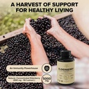 elderberry-with-vitamin-c-zinc-ginger-po-4.jpg