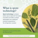 youtheory-spore-probiotic-powder---vegan-4.jpg